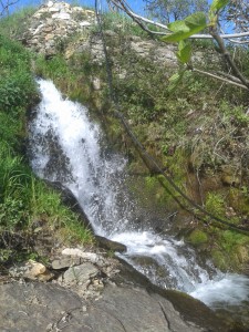 The waterfall on Miguel's land